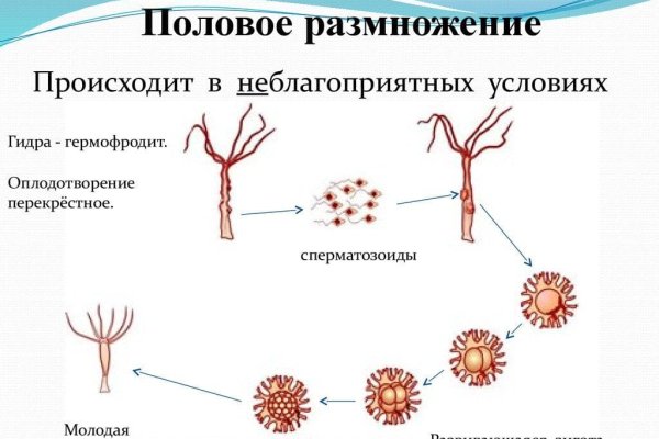 Кракен ссылка