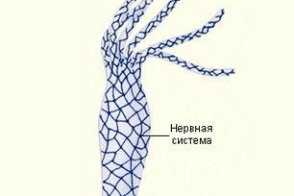 Kraken ссылка зеркало официальный сайт